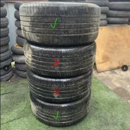 Kinforest KF550