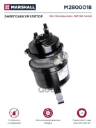 ��������� ������ � ������������������� ��� 14/24 �. �. A0194205118 (M2800018) Marshall M2800018 ����