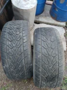 Saffiro SF 8000. ������, 2019 ���, �/�, ����� 25 % ����