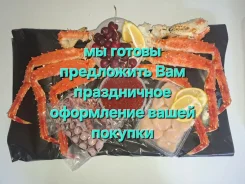 ���� ����������. ����