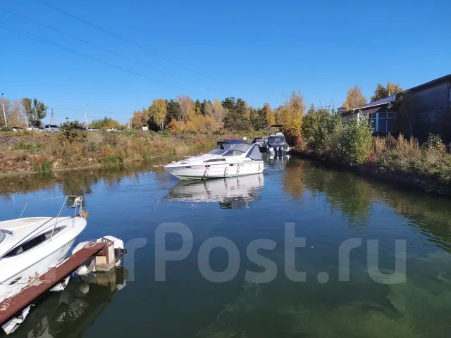 Bayliner. 1993 ���, ����� 8��., ��������� ������������, 500��.�., ������ ����
