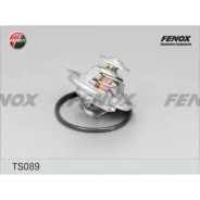 ��������� (+80�C) Fenox, ���. TS089 TS089 ����