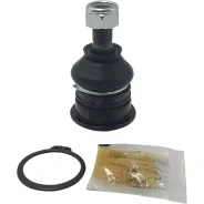 ����� ������� CTR, ���. CB0562 CB0562 ����