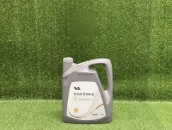 Shell. 0W-30, �������������, 3,7��. ����