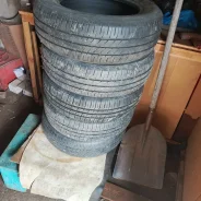 ����. ����