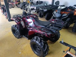 Yamaha Grizzly 700 EPS SE. ��������, ��, �� ����