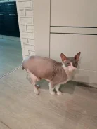 ������. ����