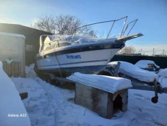 Bayliner. ����� 11,7��., ��������� ���������, 250��.�., ������ ����