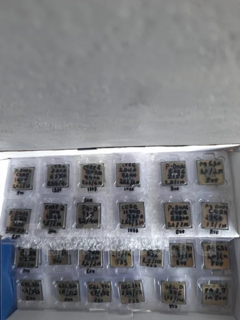 ���������� Intel 775/478 ����� � amd ����� am3/��2. ����