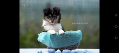�����. ����