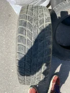 Aurora Tire Winter Radial W403. ������, �/�, ����� 50 % ����