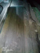 ����� ������ ����