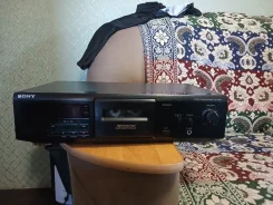 ���� ���������. ����