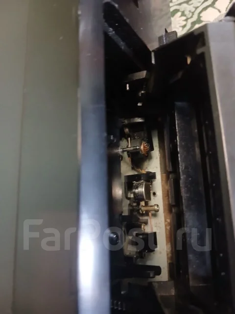 ���� ���������. ����