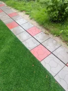 ������ �������������. ����