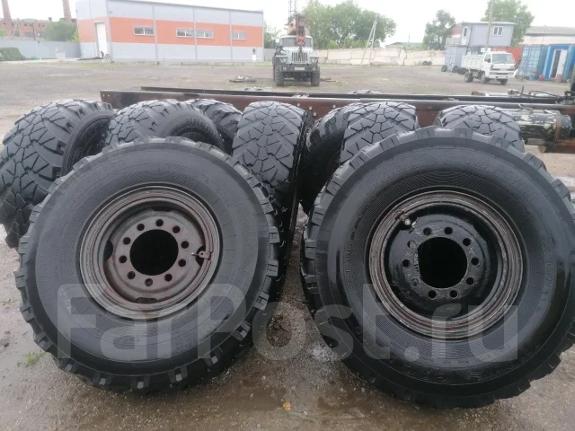 TyRex CRG VO-1260. ����� at, �/�, ����� 40 % ����