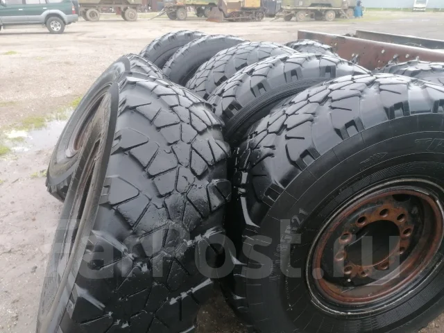 TyRex CRG VO-1260. ����� at, �/�, ����� 40 % ����
