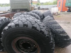 TyRex CRG VO-1260. ����� at, �/�, ����� 40 % ����