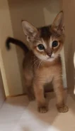 �����. ����