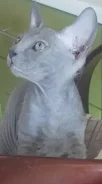 ������. ����