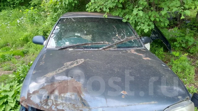 Toyota Sprinter. �������, ��������, 1.6 (88��.�.), ������. ��� ����� �� ������������ ����