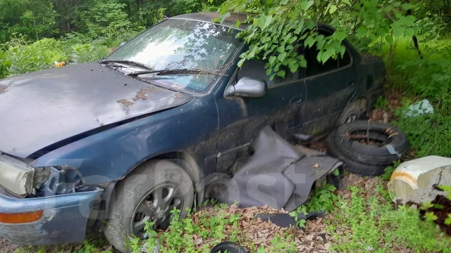 Toyota Sprinter. �������, ��������, 1.6 (88��.�.), ������. ��� ����� �� ������������ ����