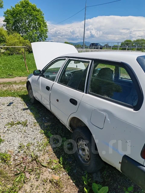 Toyota Corolla. �������, ��������, 1.3 (94��.�.), ������, 520 000����. �� ����