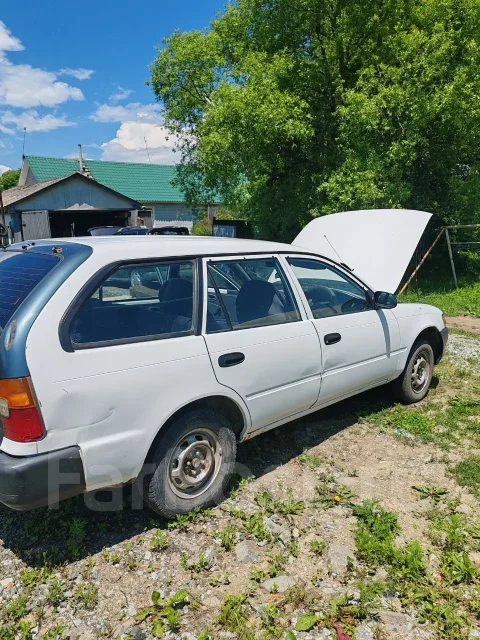 Toyota Corolla. �������, ��������, 1.3 (94��.�.), ������, 520 000����. �� ����