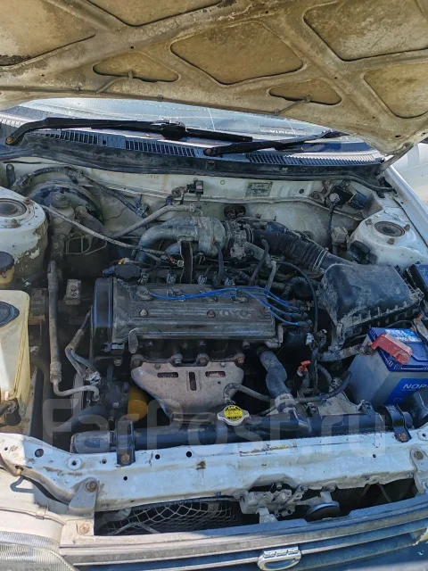 Toyota Corolla. �������, ��������, 1.3 (94��.�.), ������, 520 000����. �� ����