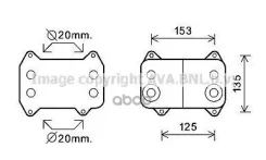 �������� �������� DAF (�������������) Ava ���. DF3054 DF3054 ����