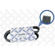 ������ ������������ 6PK950 Stellox 0600950SX 0600950SX ����