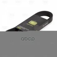 ������ ������������ Trialli ���. 6PK1020 6PK1020 ����