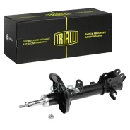 ����������� Elantra ������ ����� - ������ � ����� ������� Trialli ���. AG08211 AG08211 ����