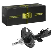 ����������� �������� ����� Trialli ���. AG19164 AG19164 ����