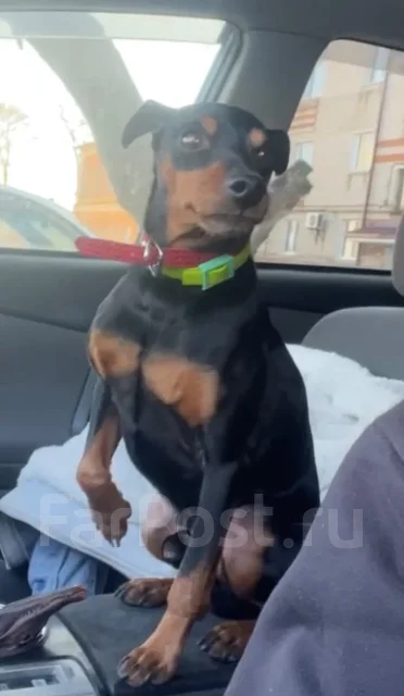 ������. ����