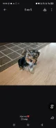 �����! ����