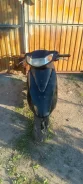 Honda Dio AF62. 49����. ��., �������� ����