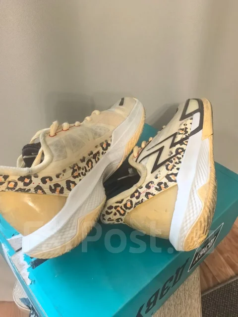 ���������. 39 ����
