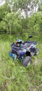 Grizzly 125. ��������, ��� ���\���, �� ����