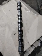 ���������� 2007 504004779 504004779 ����