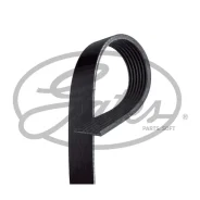 ������ �/� 7PK1236 Gates 7PK1236 Gates 7PK1236 7PK1236 ����