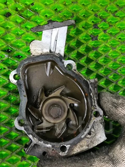����� ��� ����� 0,8 25194440 25194440 ����