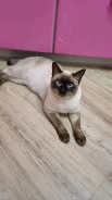 �����. ����