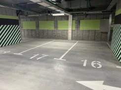 ����� �����������. . ��� ������ ����