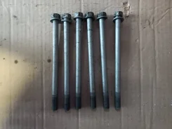 �����. ����