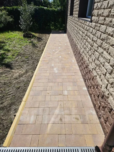 ��������������� ���������� ����