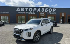 Hyundai Palisade. G6DN, G6DN ����