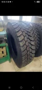 Teerex. �����������, 2026 ���, ����� ����