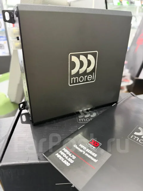 Morel ����
