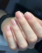 ������� ��������. ����